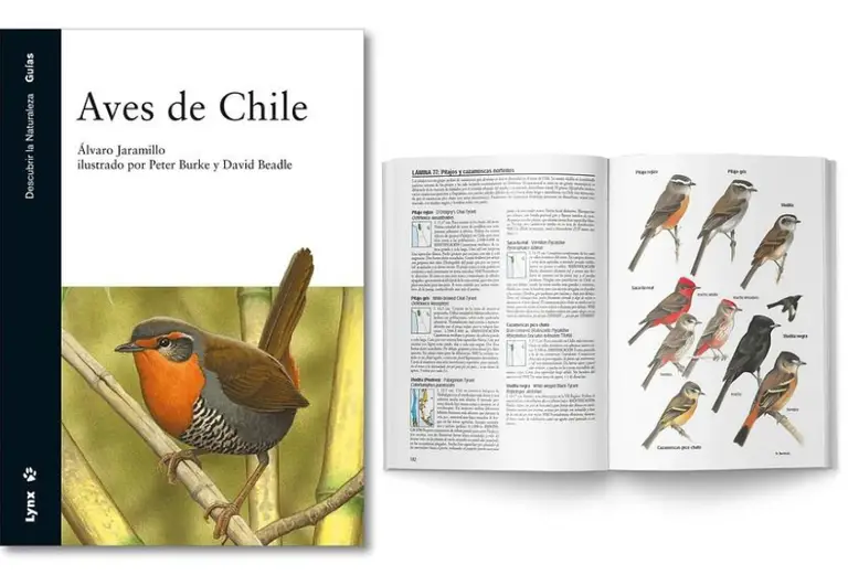 6SNDMWYYKRFH7JT4XQOOU5FYMA ¡Feliz Día del Libro! Cuatro recomendaciones de lectura diferentes