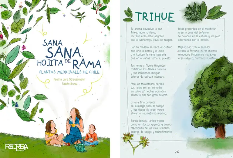 NKORBX6DXBHRTOTPVQJEKJD46U ¡Feliz Día del Libro! Cuatro recomendaciones de lectura diferentes